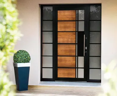 Porte d'entrée moderne noire et bois avec vitrages givrés et plante.